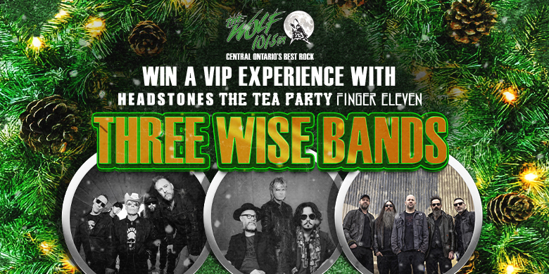 Three Wise Bands VIP